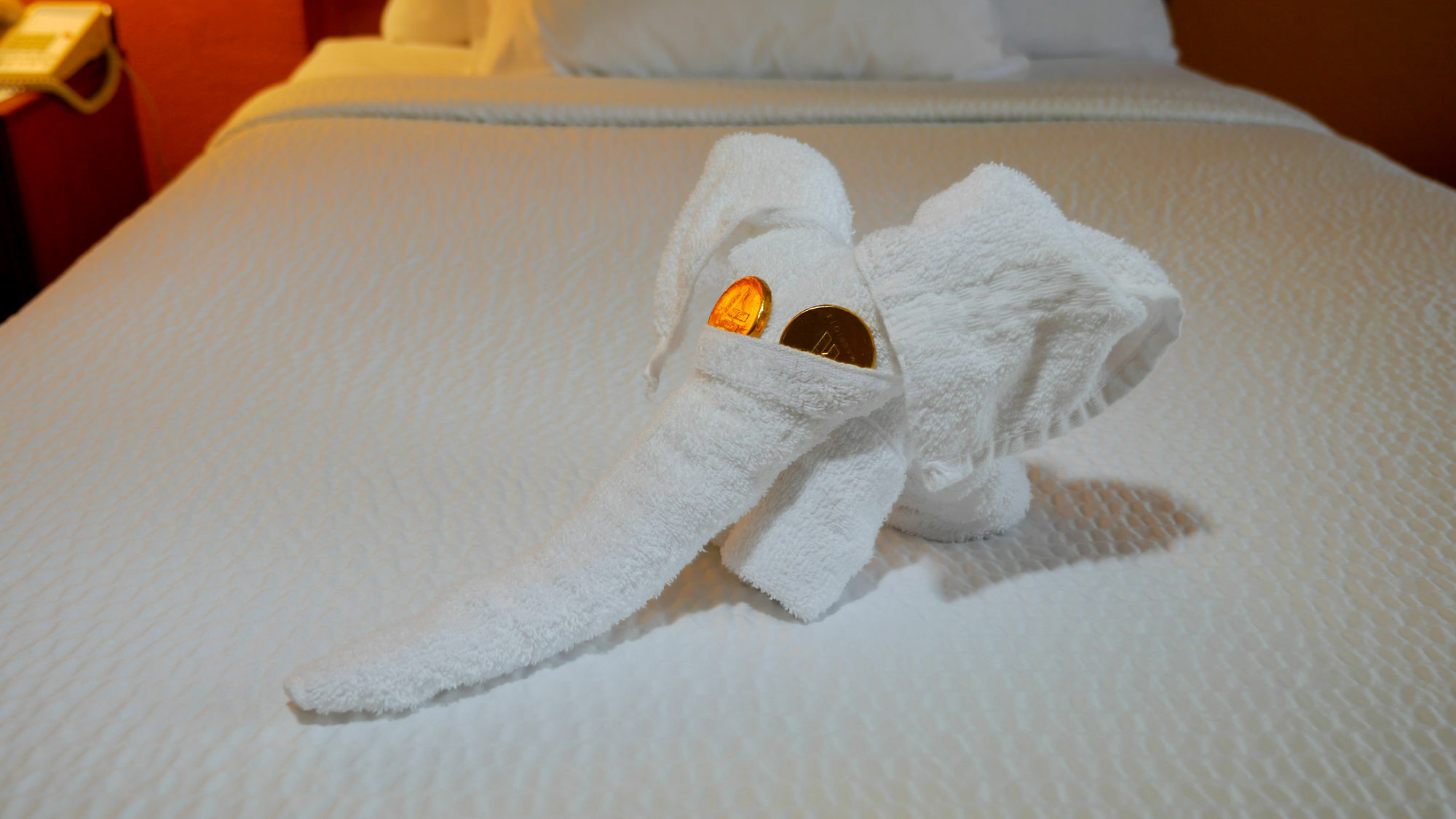 Quality Inn Fayetteville Near Fort Bragg Extérieur photo